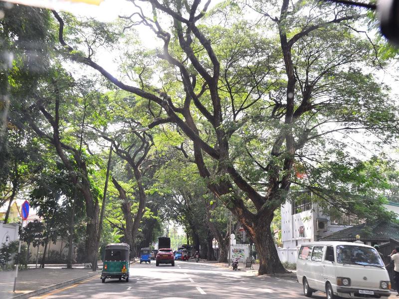 Colombo Villa At Cambridge Place image
