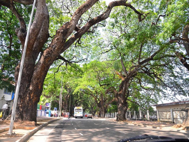 Colombo Villa At Cambridge Place image