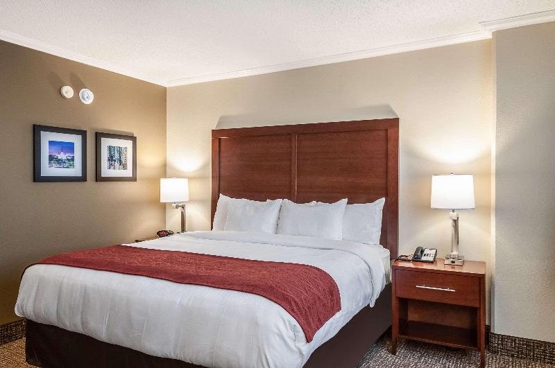 Comfort Inn & Suites At Copeland Tower image
