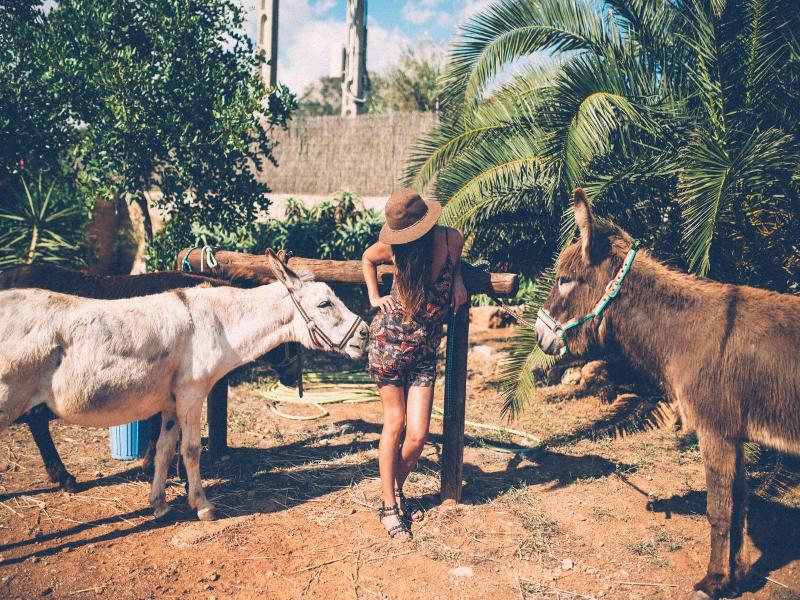 Finca Can Paulino image