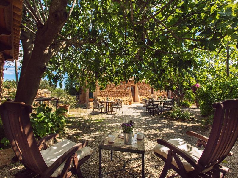 Finca Can Paulino image