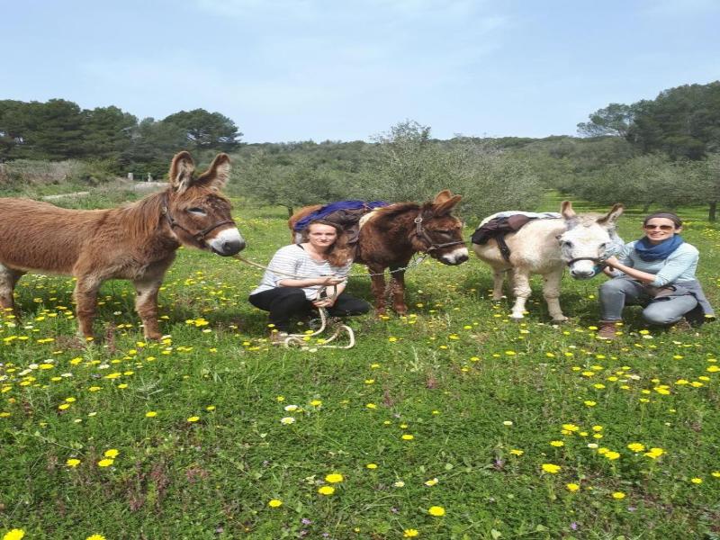 Finca Can Paulino image