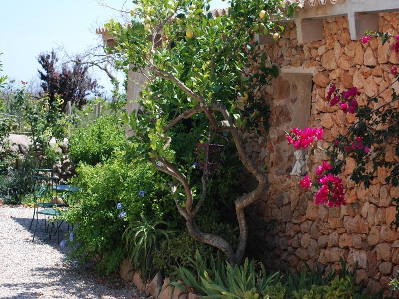Finca Can Paulino image