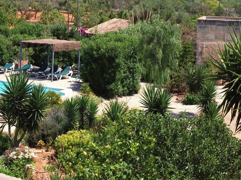 Finca Can Paulino image