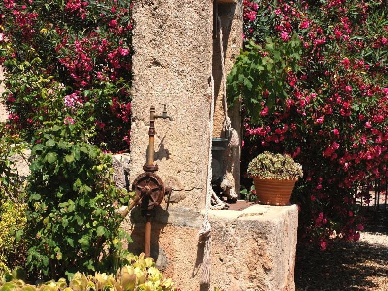 Finca Can Paulino image