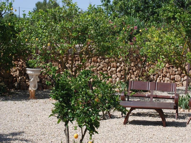 Finca Can Paulino image