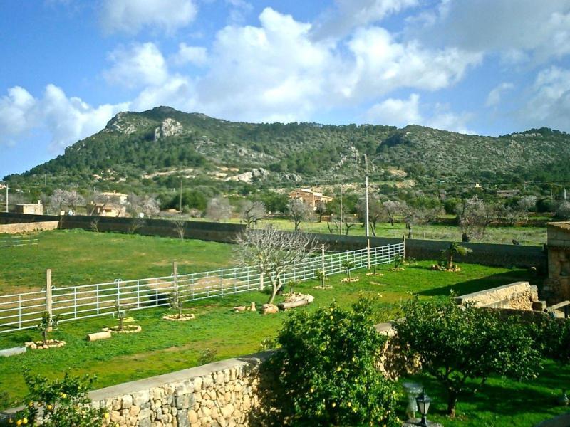 Finca Can Paulino image