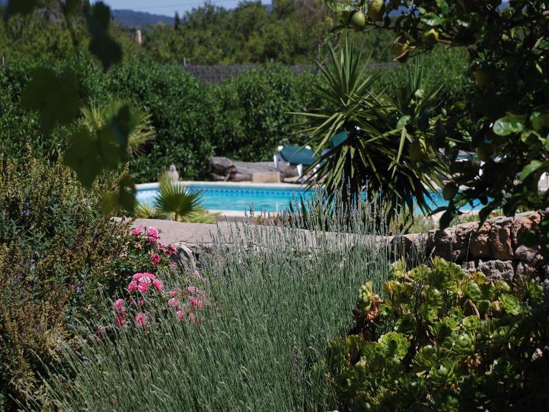 Finca Can Paulino image