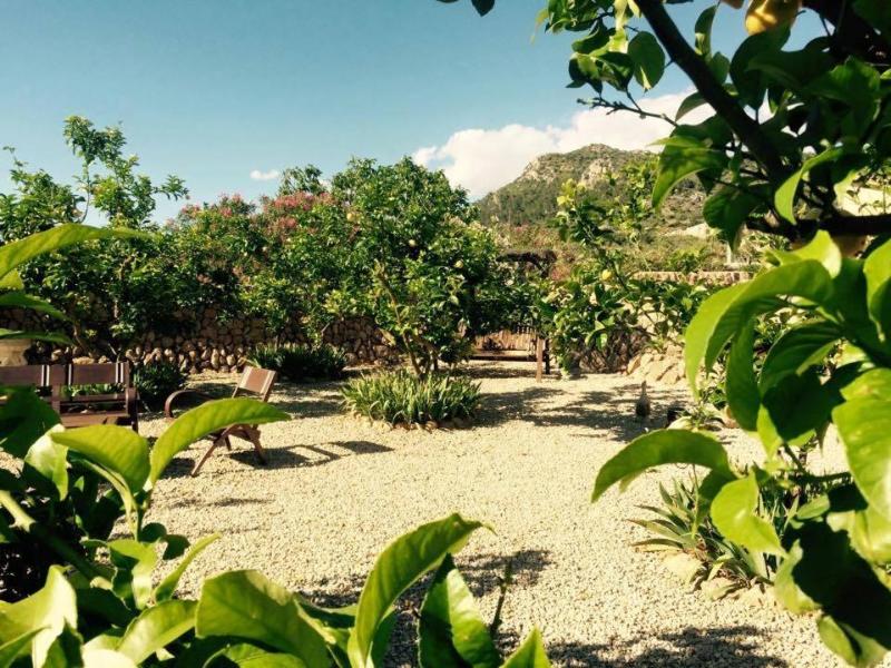 Finca Can Paulino image