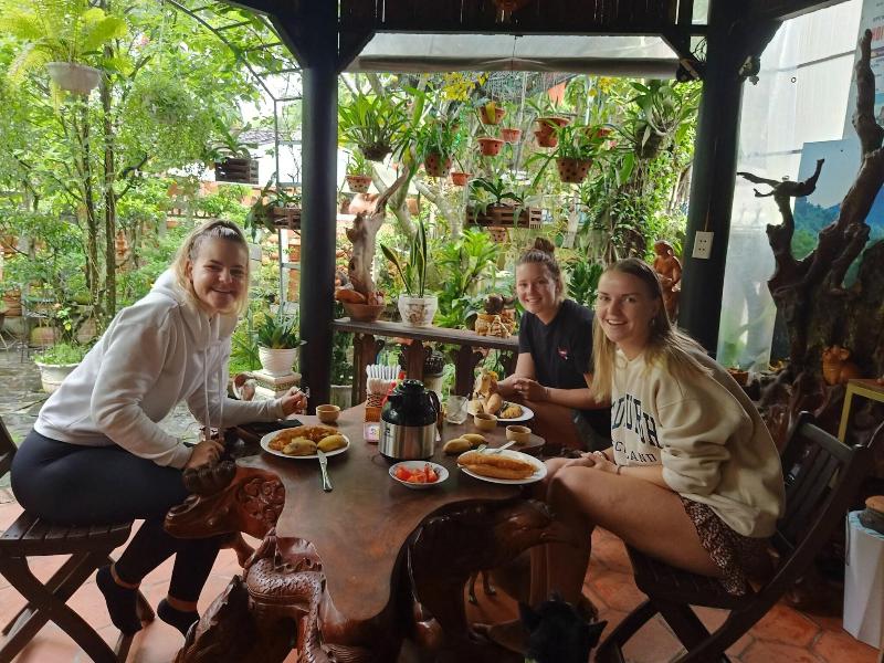 Terra Cotta Homestay And Hostel image