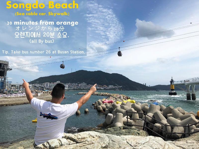 Orange Guesthouse