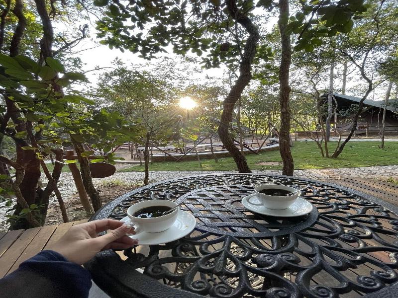 Vkirirom Pine Resort