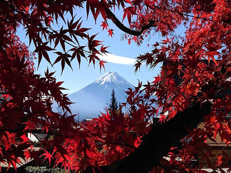 Lake Villa Kawaguchiko image