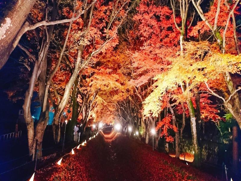 Lake Villa Kawaguchiko image