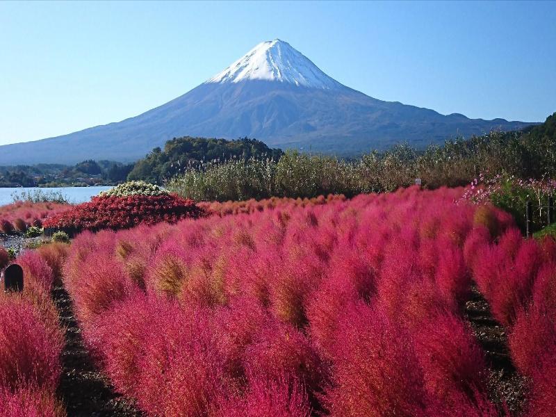 Lake Villa Kawaguchiko image