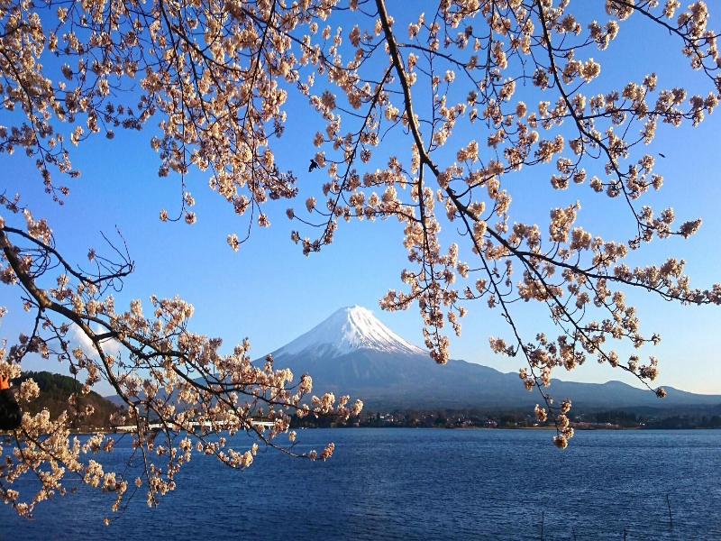 Lake Villa Kawaguchiko image