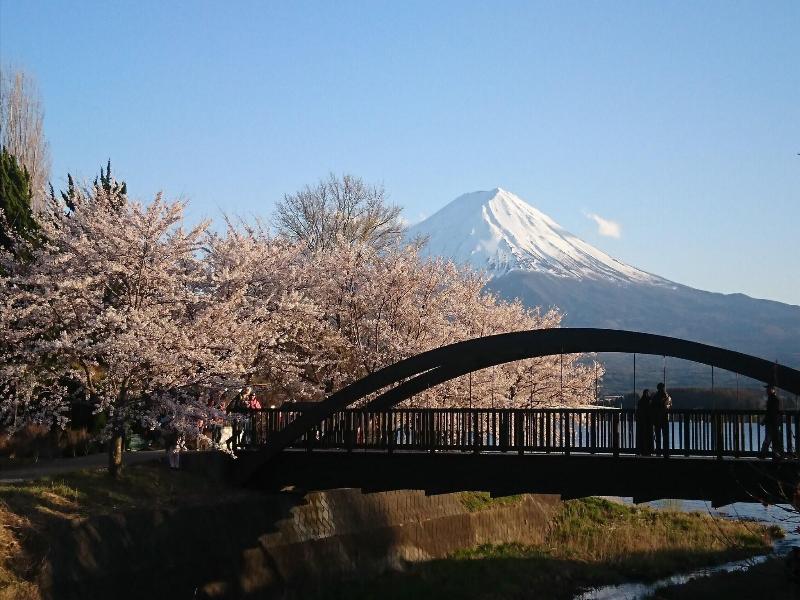 Lake Villa Kawaguchiko image