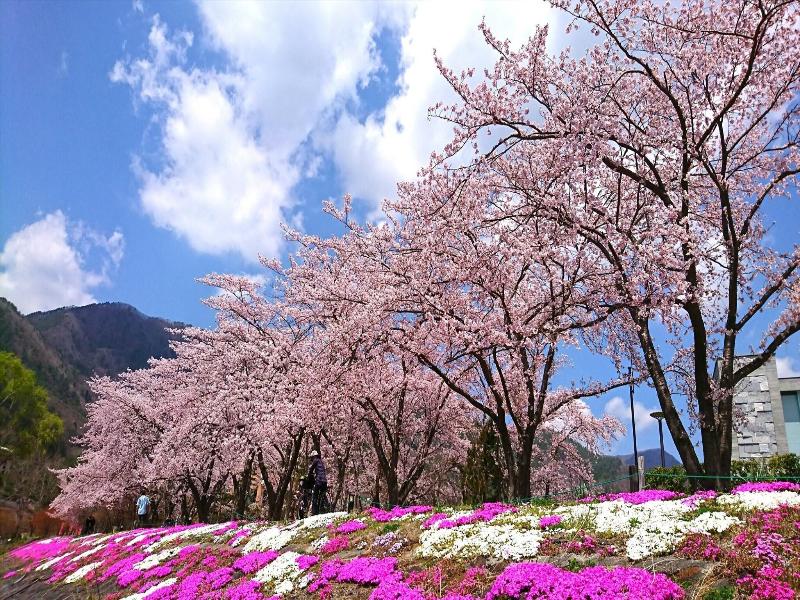 Lake Villa Kawaguchiko image