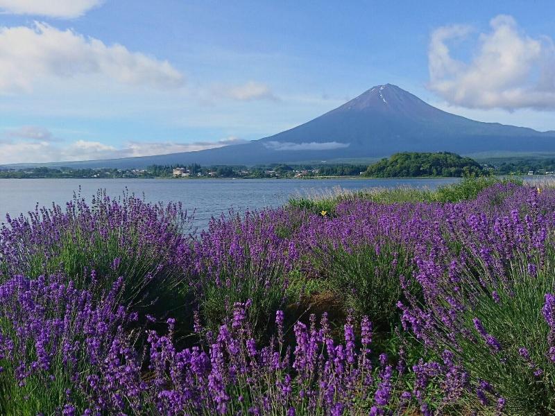 Lake Villa Kawaguchiko image