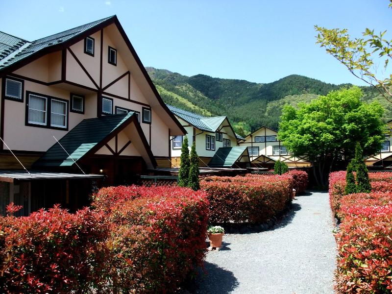 Lake Villa Kawaguchiko image