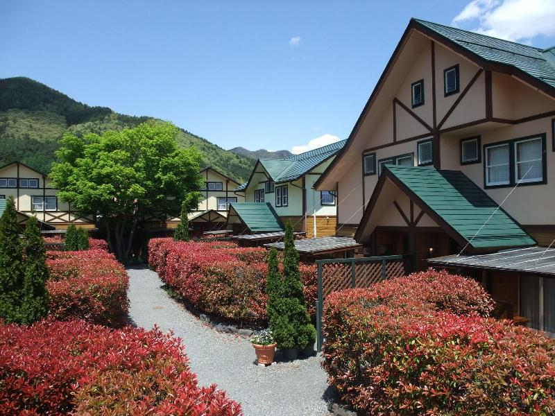 Lake Villa Kawaguchiko image