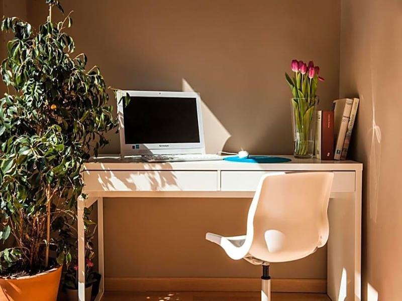 Born Barcelona Hostel image