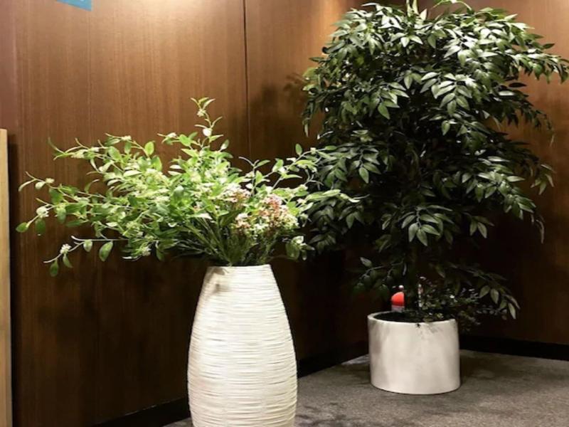 Philstay Myeongdong Station image