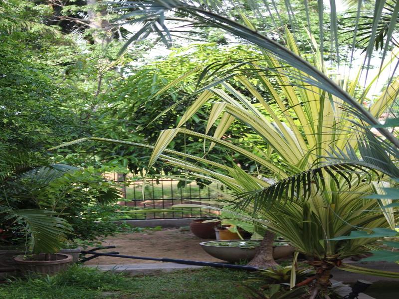 Villa Kapuru