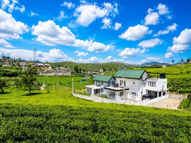 The Tea Garden