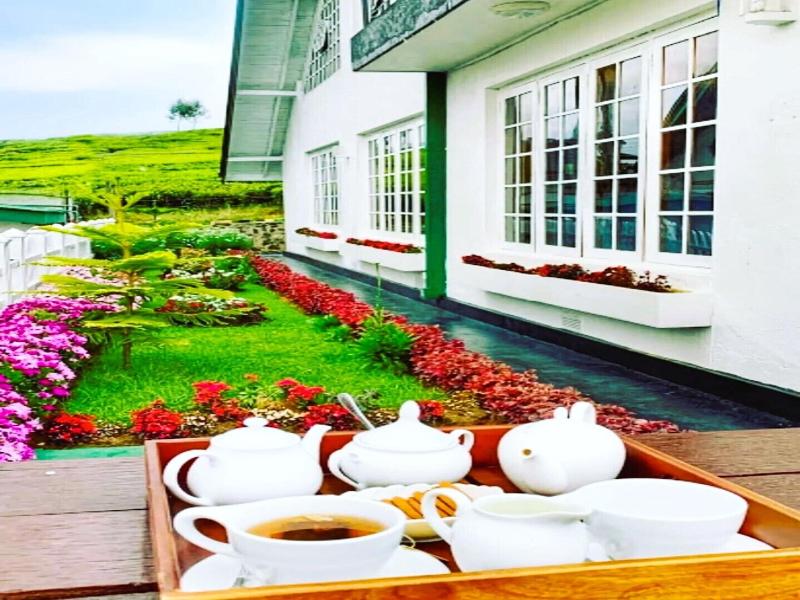 The Tea Garden