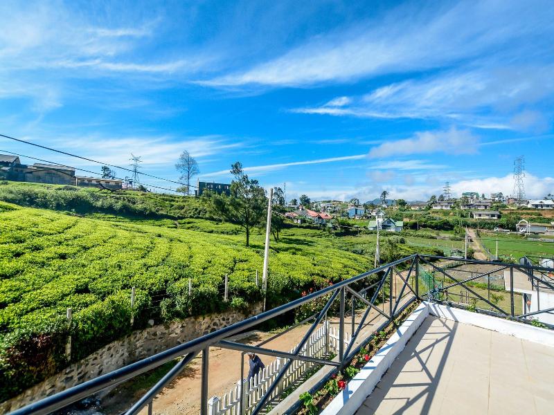The Tea Garden