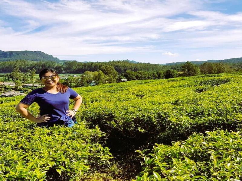 The Tea Garden