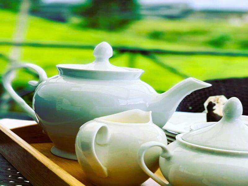 The Tea Garden