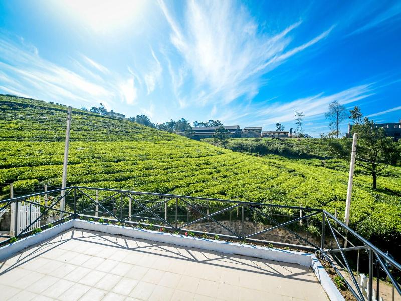 The Tea Garden