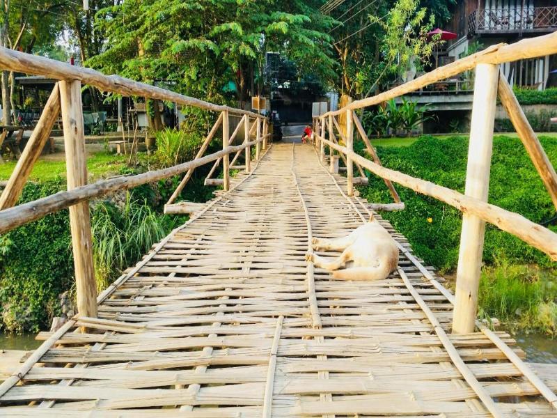 Pai Homey image