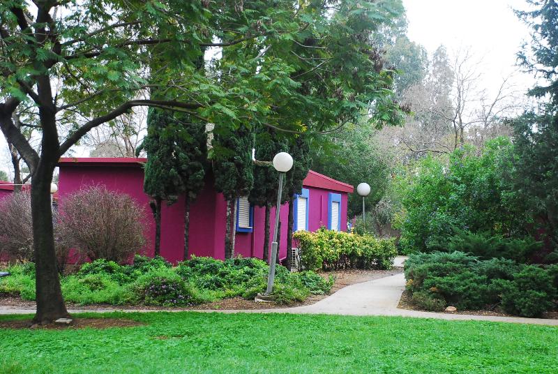 Mizra Guest House — photo 4