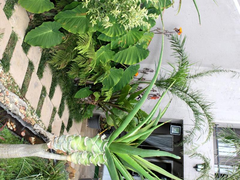 Airport Lodge Guest House image