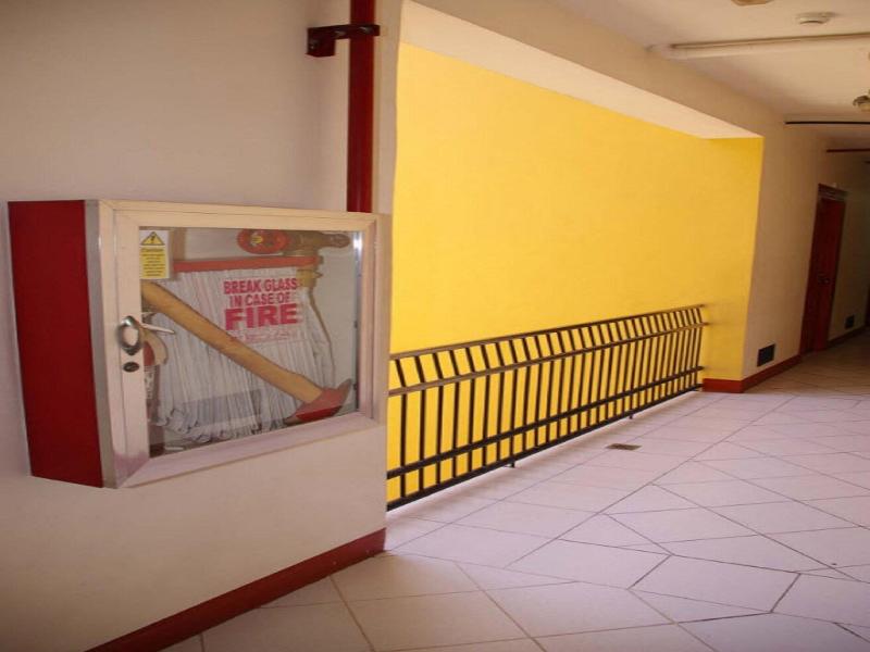 La Casarita image