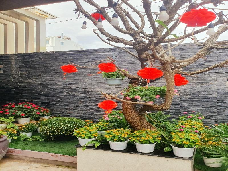 Animor Green Home image