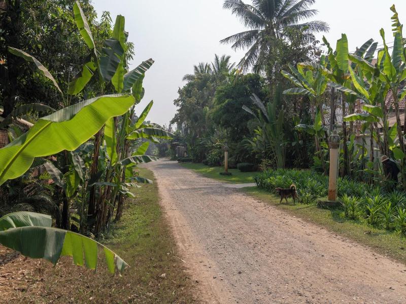 Sokkhak Boutique Resort image