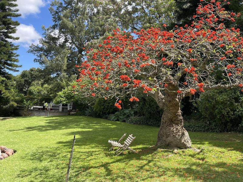 Marula Lodge Guesthouse