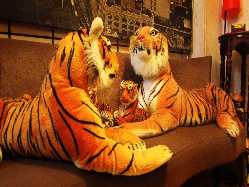 Triple Tiger Hostel image