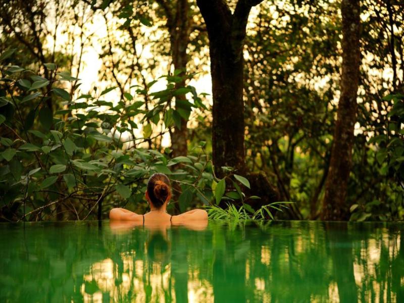 Wayanad Wild - A CGH Earth Experience — general view