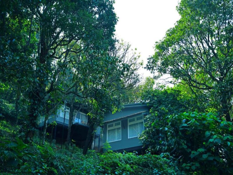 Wayanad Wild - A CGH Earth Experience — general view