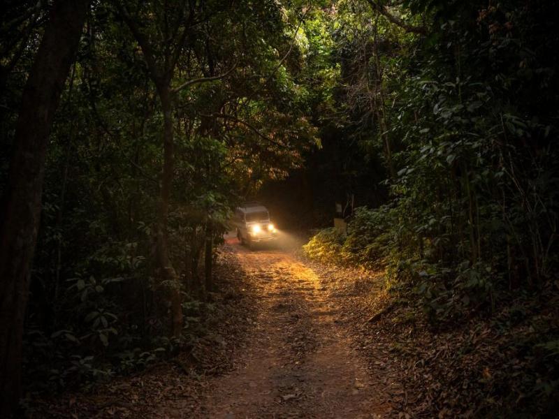 Wayanad Wild - A CGH Earth Experience — general view