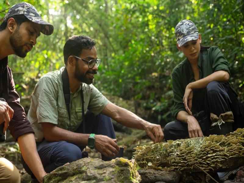 Wayanad Wild - A CGH Earth Experience