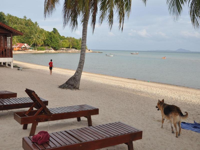 Phangan Rainbow Bungalows image