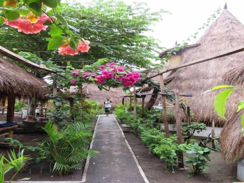 Fantastic Gili Hostel image