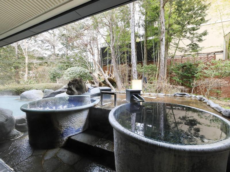 Hakone Hisui Hotel image