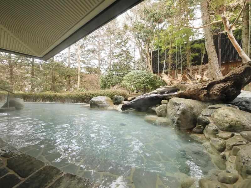 Hakone Hisui Hotel image